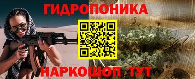 прущие грибы Братск