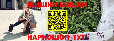 шишки Брянск