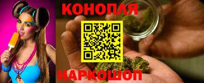 шишки Брянск