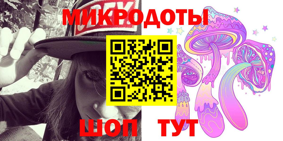 Псилоцибиновые грибы Psilocybe Богородицк